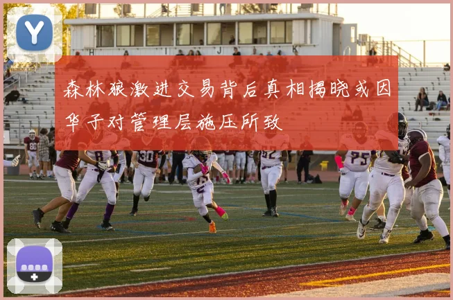 森林狼激进交易背后真相揭晓或因华子对管理层施压所致
