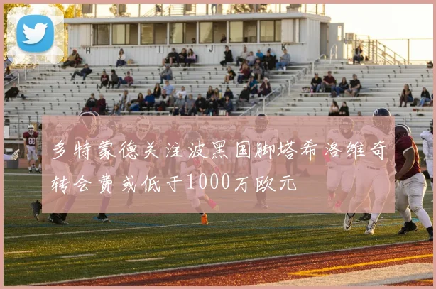 多特蒙德关注波黑国脚塔希洛维奇转会费或低于1000万欧元